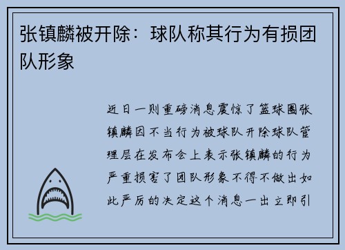 张镇麟被开除：球队称其行为有损团队形象