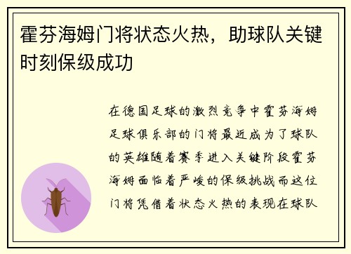 霍芬海姆门将状态火热，助球队关键时刻保级成功