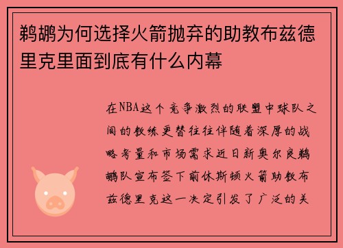 鹈鹕为何选择火箭抛弃的助教布兹德里克里面到底有什么内幕