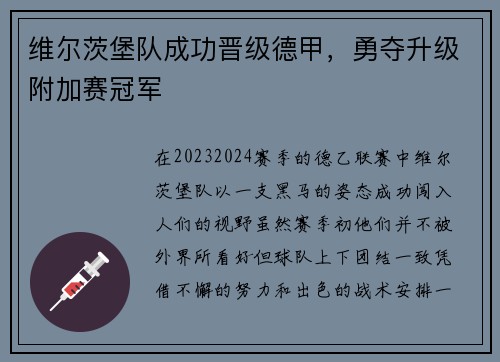 维尔茨堡队成功晋级德甲，勇夺升级附加赛冠军