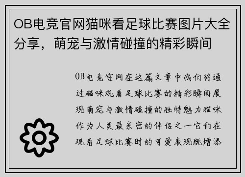 OB电竞官网猫咪看足球比赛图片大全分享，萌宠与激情碰撞的精彩瞬间